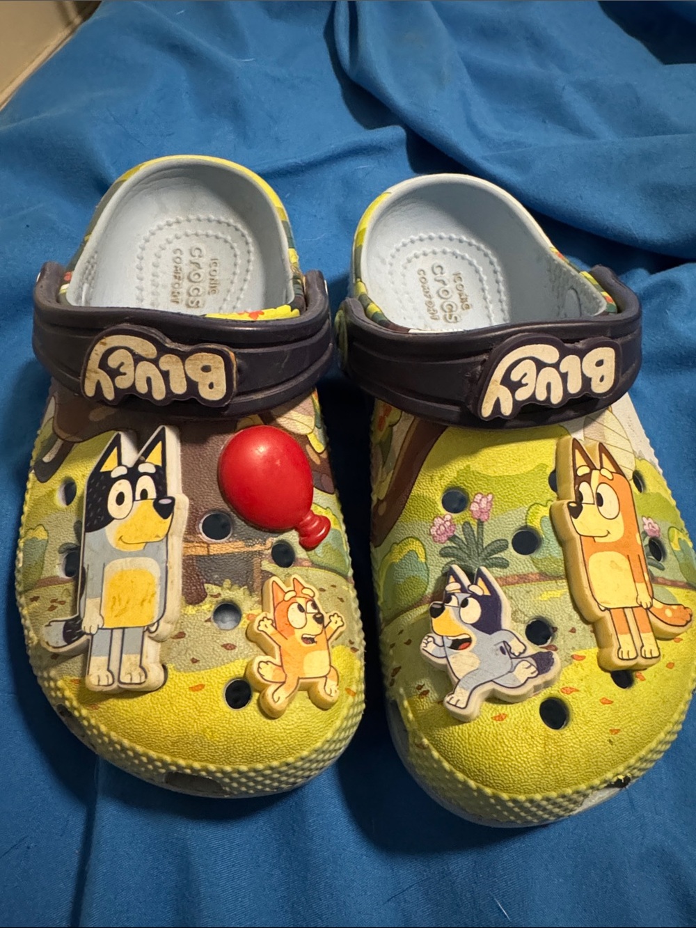 Bluey Crocs